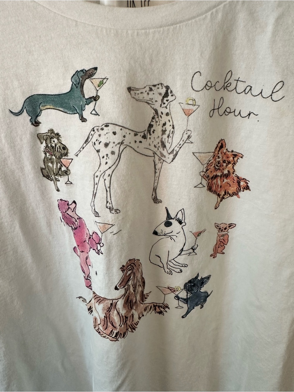 J Crew Collector ‘Cocktail Hour' Dog Graphic Tee Sz XXL - Picture 2 of 6